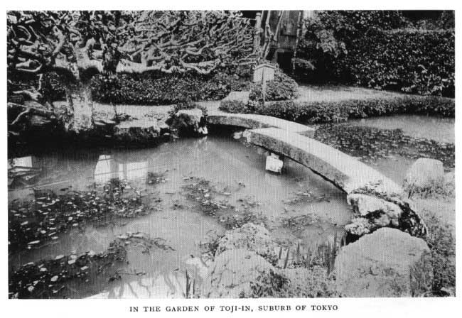 Japanese fig 124