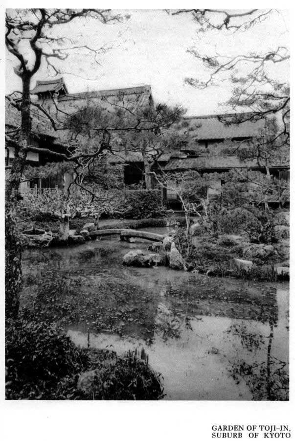 Japanese fig 14