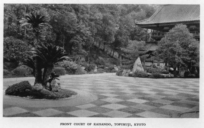 Japanese fig 149