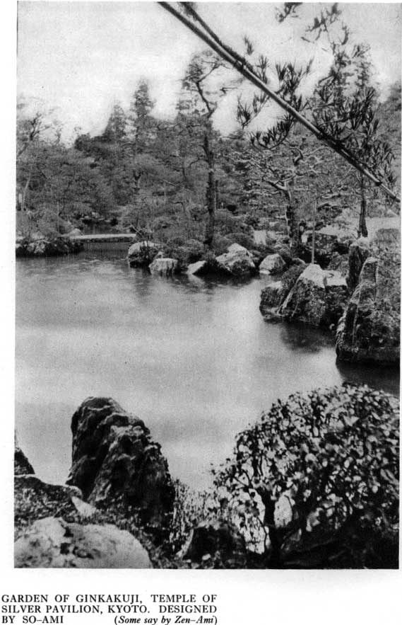 Japanese fig 15