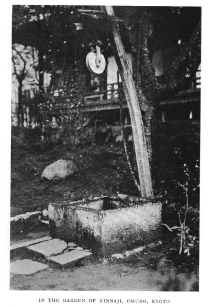 Japanese fig 154