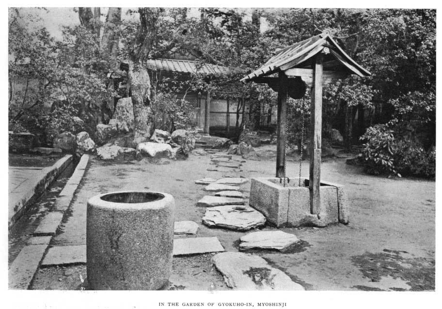 Japanese fig 156