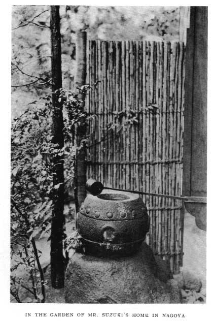 Japanese fig 157