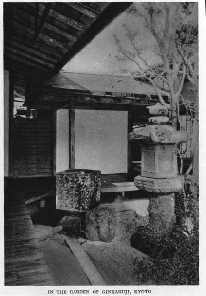 Japanese fig 160