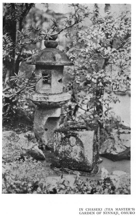 Japanese fig 168