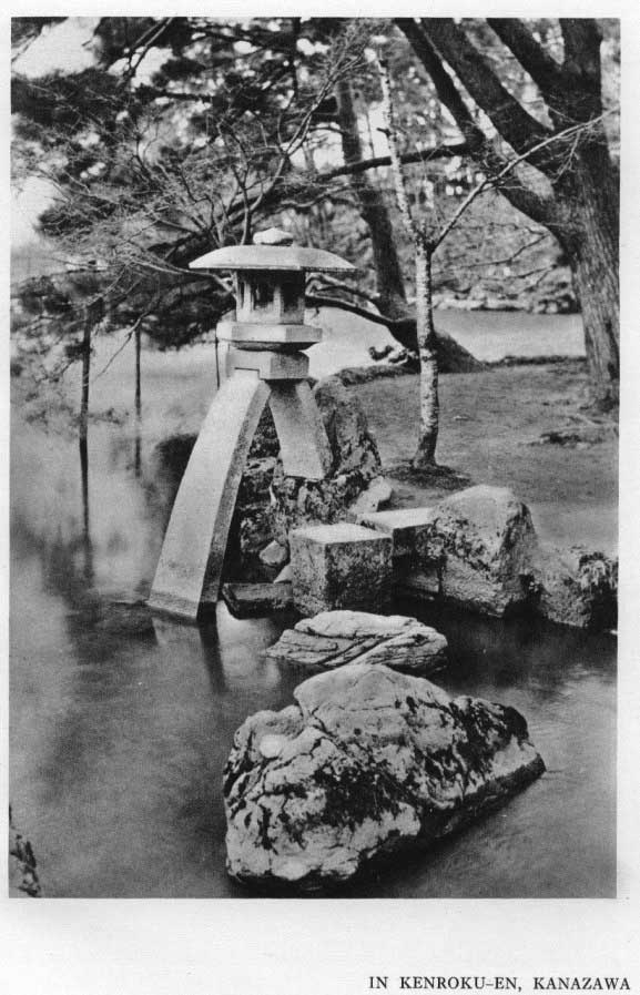 Japanese fig 171