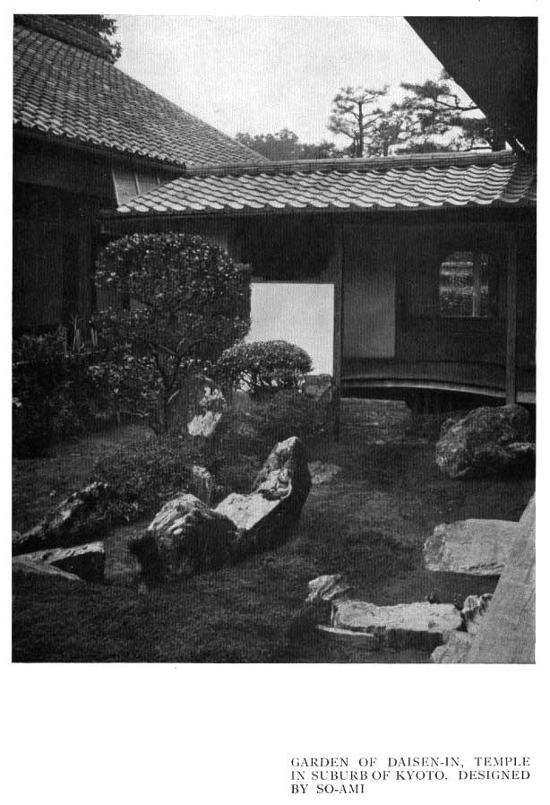 Japanese fig 20