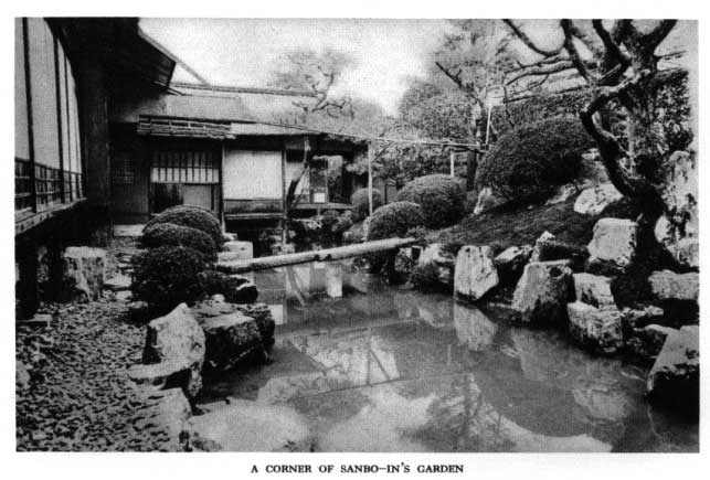 Japanese fig 25