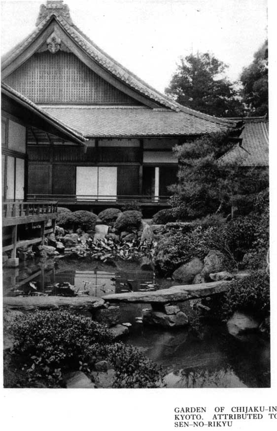 Japanese fig 26