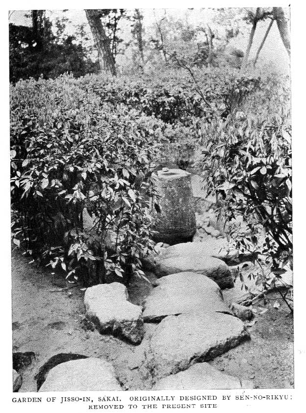 Japanese fig 30
