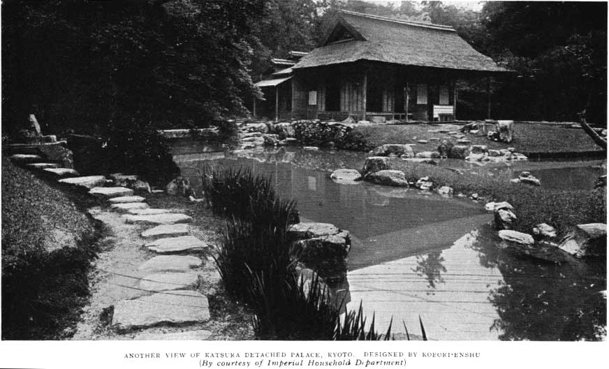Japanese fig 34