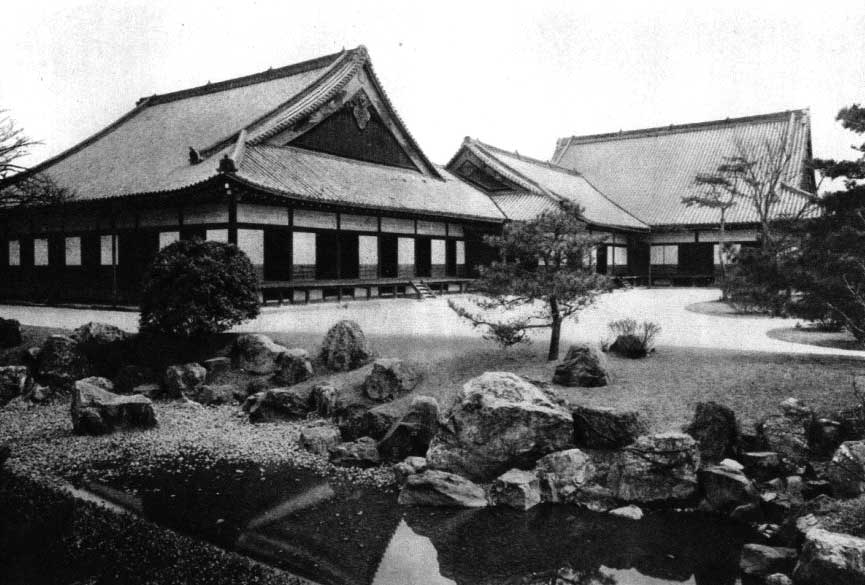 Japanese fig 37
