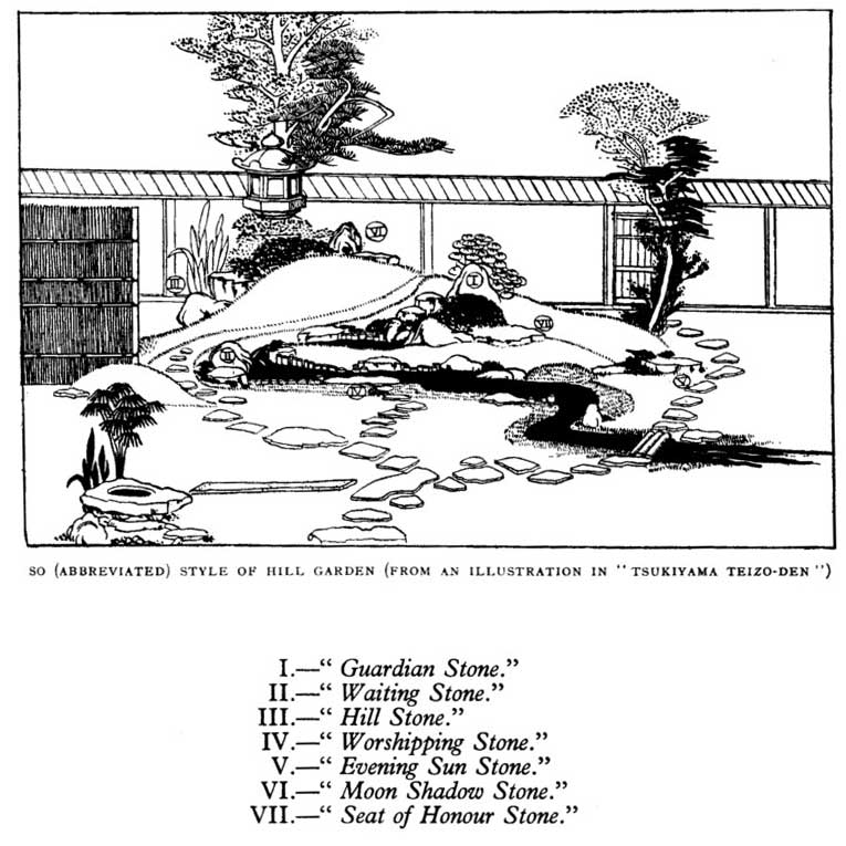 Japanese fig 4