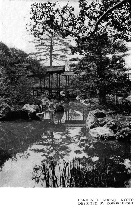 Japanese fig 40