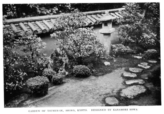 Japanese fig 42