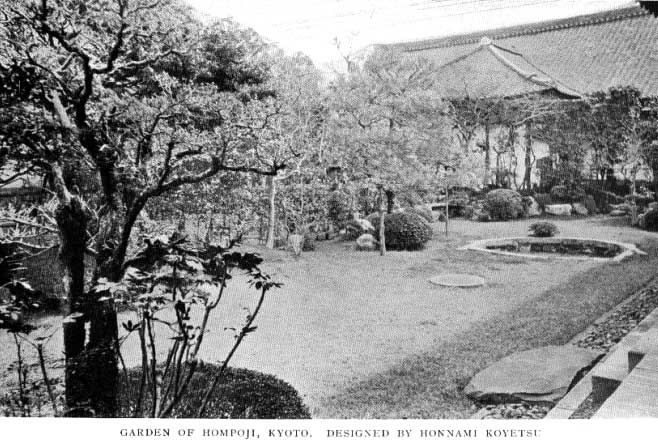 Japanese fig 45