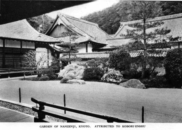 Japanese fig 48