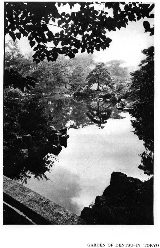 Japanese fig 63