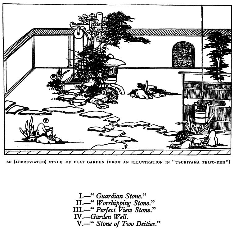 Japanese fig 7
