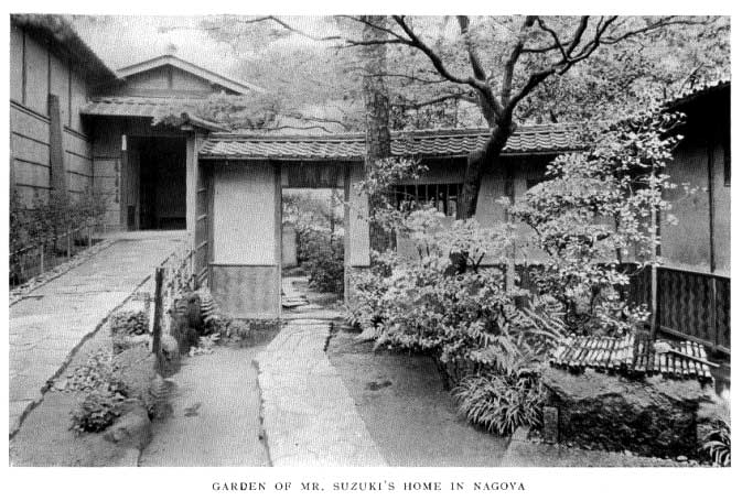 Japanese fig 70