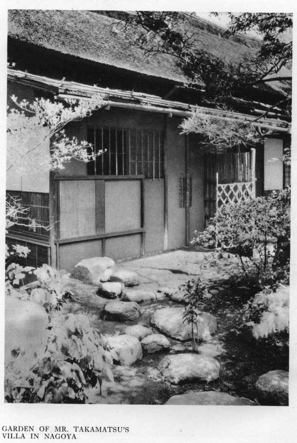 Japanese fig 77