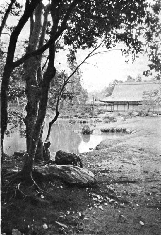 Japanese fig 8