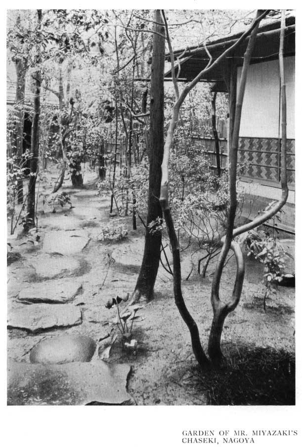 Japanese fig 97
