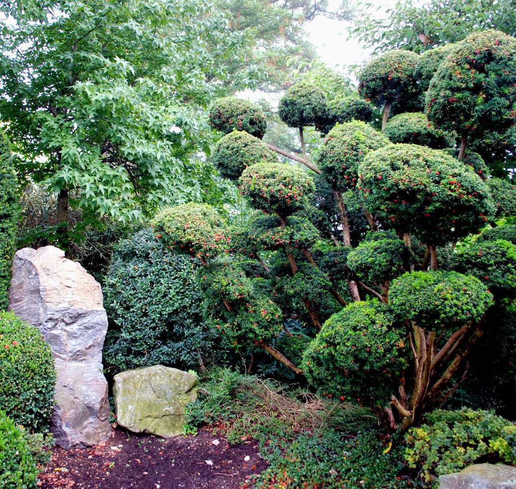 Japanese Garden, Leisnerstrasse