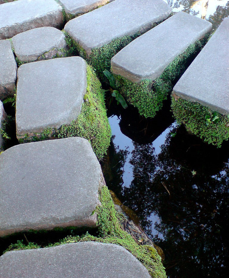 Japanese Tea Garden, Golden Gate Park