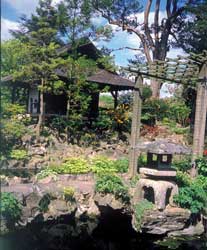 Japanesegardens ireland