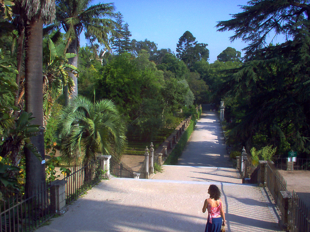 Jardim Botanico de Coimbra Ana