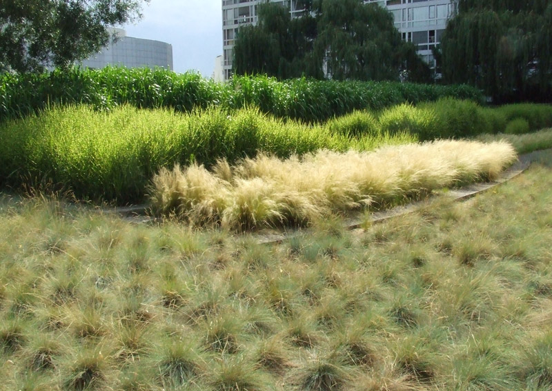 Jardin Atlantique Paris