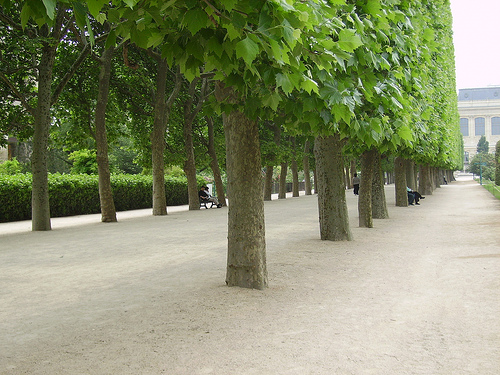 Jardin des Plantes, Paris