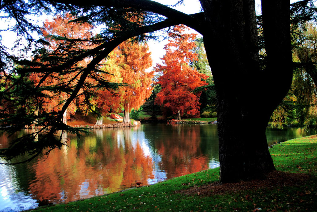 Le Jardin du Parc