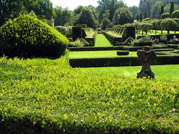 Allée des Charmes, Jardins du Manoir d'Eyrignac