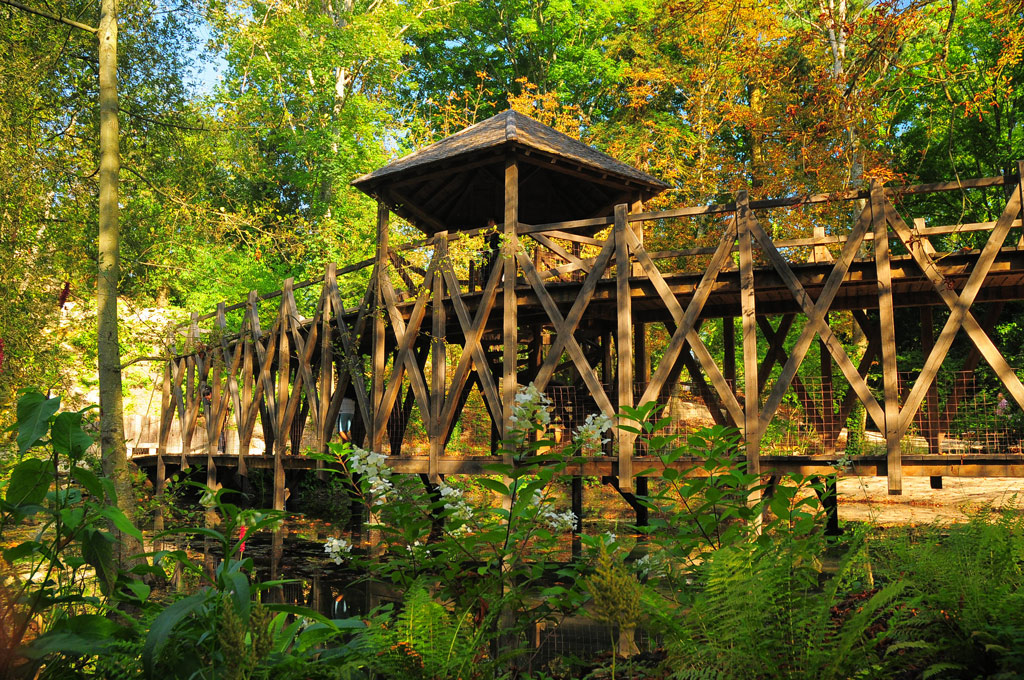 Bridge, Jardin de Léonard