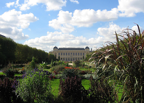 Jardin des Plantes in Autumn