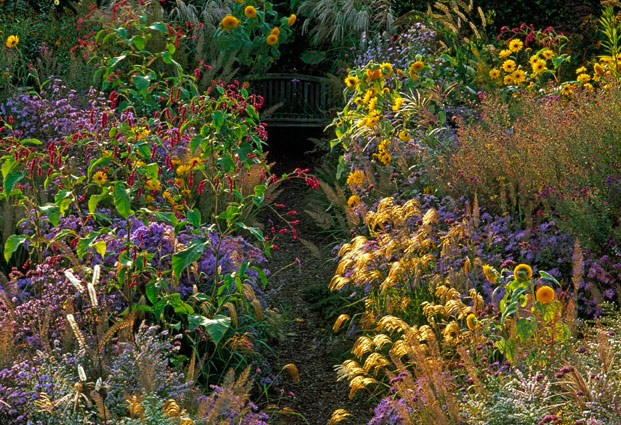 Jardin Plume