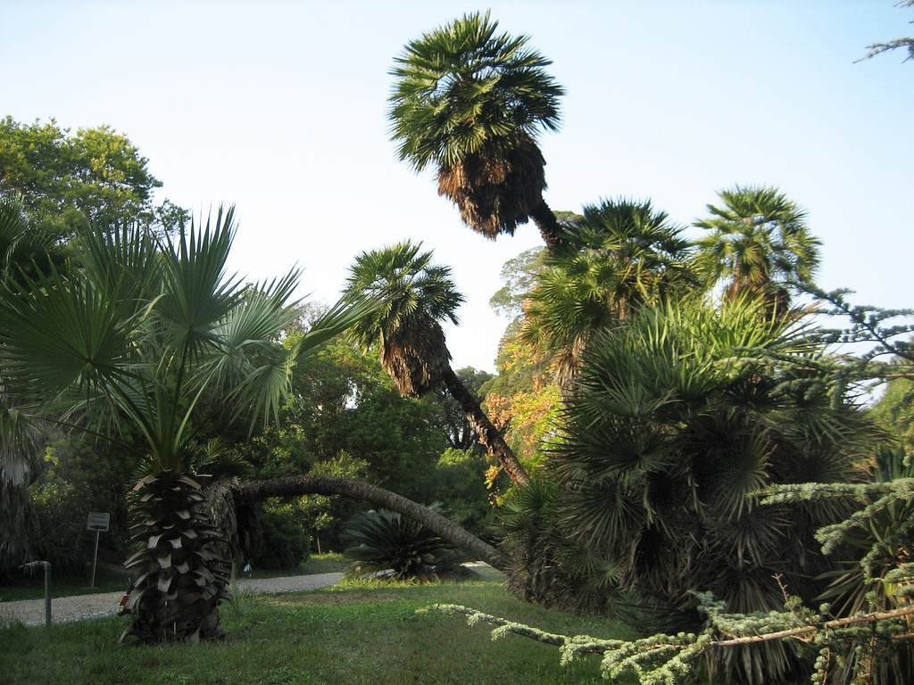 Jardin Thuret Christian