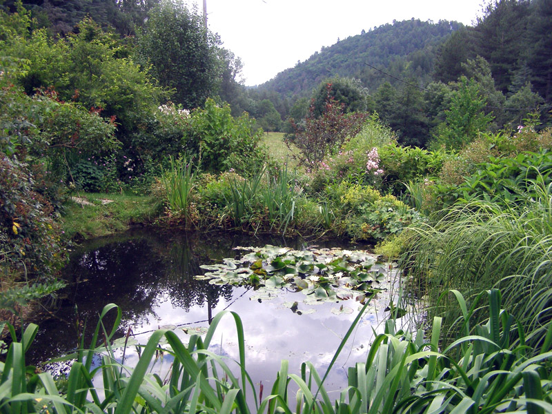 Pond, Jardin du Tomple