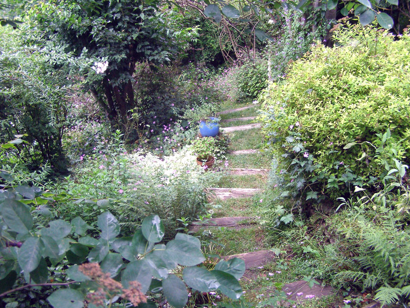 Steps, Jardin du Tomple