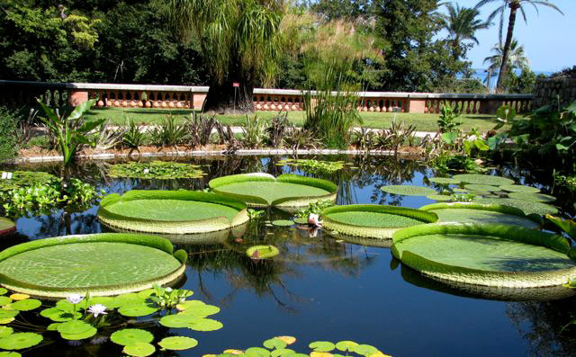 Jardin Val Rahmeh, France