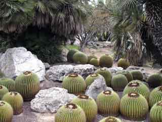 Jardins de mossen