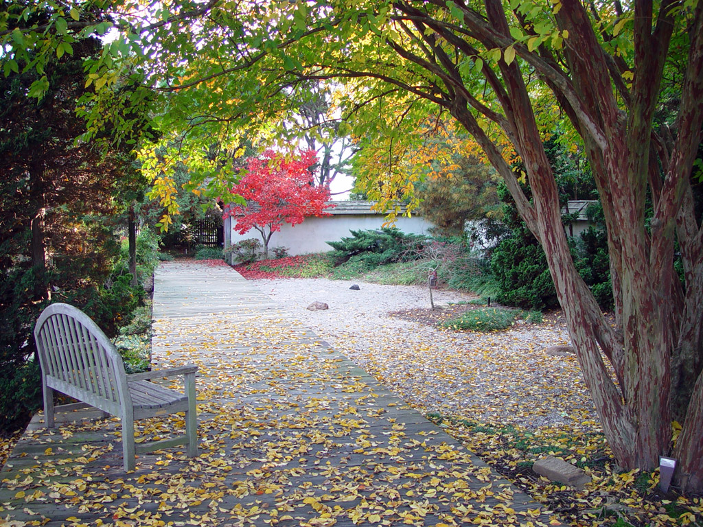 Jc raulston arboretum