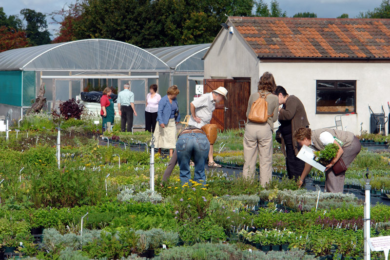 Jekka's Herb Farm, Somerset