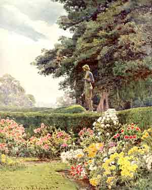 Jekyll balcaskie apollo