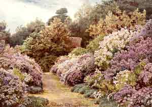 Jekyll munstead wood michaelmas da