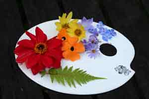 Jekyll palette flower colors3