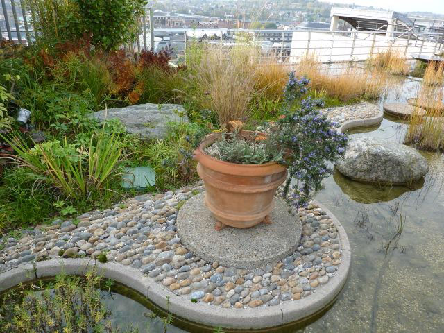 Pond, Jellicoe Roof Garden