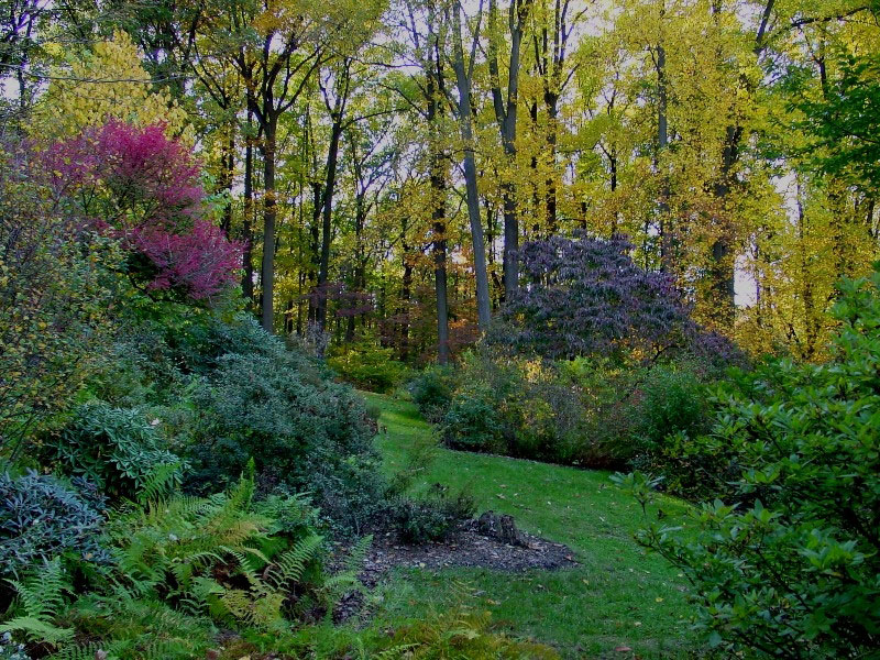 Jenkins Arboretum